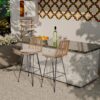 400lbs Capacity Rattan Bar Stools Set of 2
